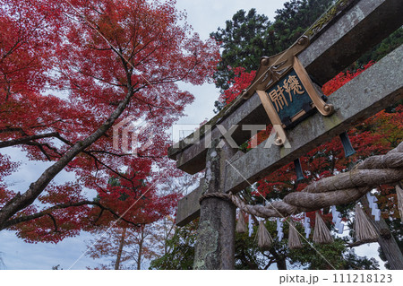日本　岩手県西磐井郡平泉町にある達谷窟毘沙門堂の一の鳥居と紅葉 111218123