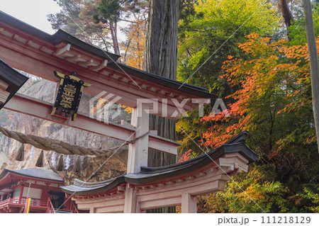 日本　岩手県西磐井郡平泉町にある達谷窟毘沙門堂の二の鳥居と紅葉 111218129