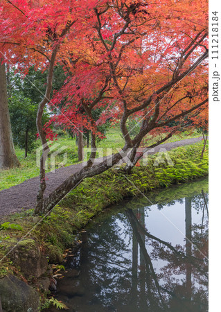 日本 岩手県西磐井郡平泉町にある達谷窟毘沙門堂の紅葉 日本 岩手県西磐井郡平泉町にある達谷窟毘沙門堂の紅葉 111218184