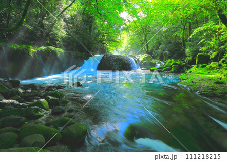 光さす夏の黎明の滝(菊池渓谷・菊池市) 光さす夏の黎明の滝(菊池渓谷・菊池市) 111218215