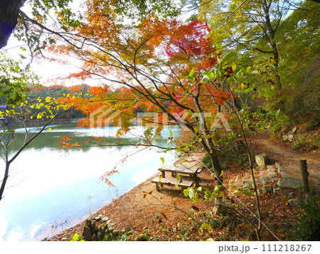 六甲山・再度公園（ふたたびこうえん）、修法が原池（しおがはらいけ）の紅葉「日本の歴史公園100選」 111218267