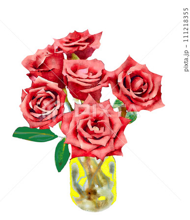 薔薇の花 111218355