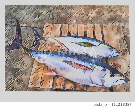 水彩画の鮪 111218387