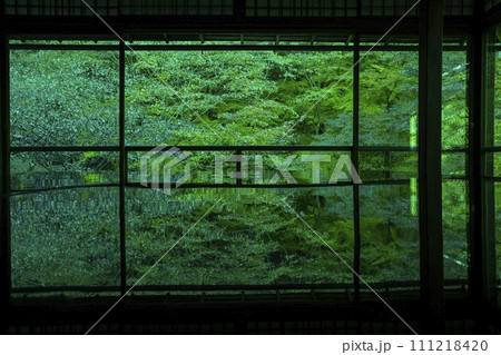 瑠璃光院 瑠璃光院 111218420