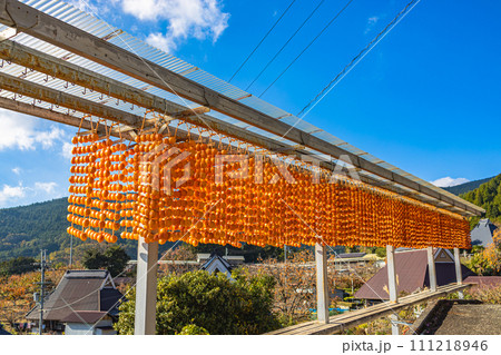 くしがきの里の景色 くしがきの里の景色 111218946