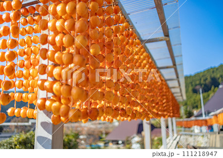 くしがきの里の景色 111218947