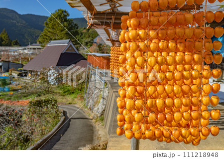 くしがきの里の景色 くしがきの里の景色 111218948