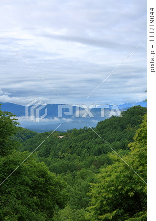 夏の蓼科 夏の蓼科 111219044