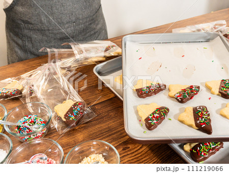 Carefully packaging Christmas cutout cookies, half-dipped in chocolate and presented in clear cellophane wrapping, perfect for festive gifting. 111219066