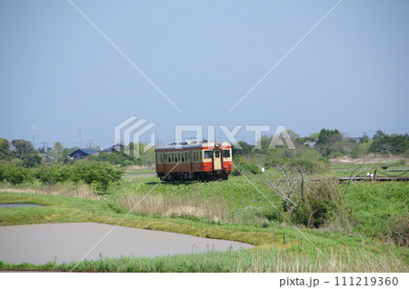 いすみ鉄道 キハ52単行と水田 いすみ鉄道 キハ52単行と水田 111219360