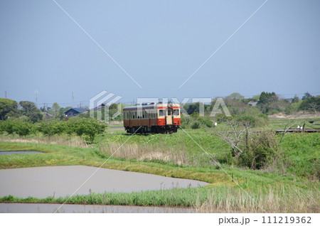 いすみ鉄道 キハ52単行と水田 111219362