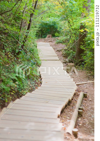 木の板で作られた湾曲する山道 111219732