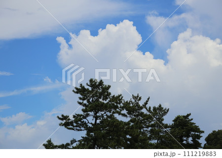 木々の向こうに見える空 111219883