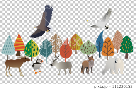 北歐森林和動物插畫 111220152