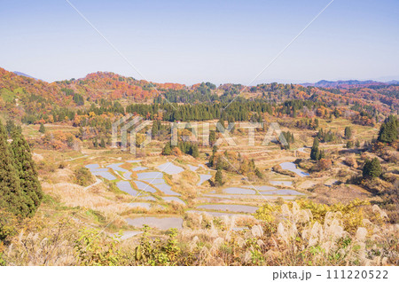 新潟　秋の星峠の棚田（十日町市） 111220522