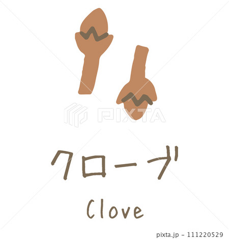 クローブ　Clove　イラスト 111220529