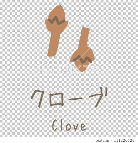 クローブ　Clove　イラスト 111220529