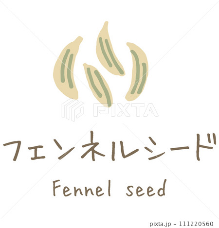 フェンネルシード Fennel seed イラスト フェンネルシード Fennel seed イラスト 111220560