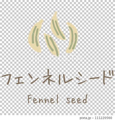 フェンネルシード Fennel seed イラスト フェンネルシード Fennel seed イラスト 111220560