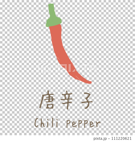 唐辛子　Chili pepper　イラスト 111220621