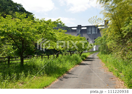 小山ダム 2023-5-21 #3 小山ダム 2023-5-21 #3 111220938
