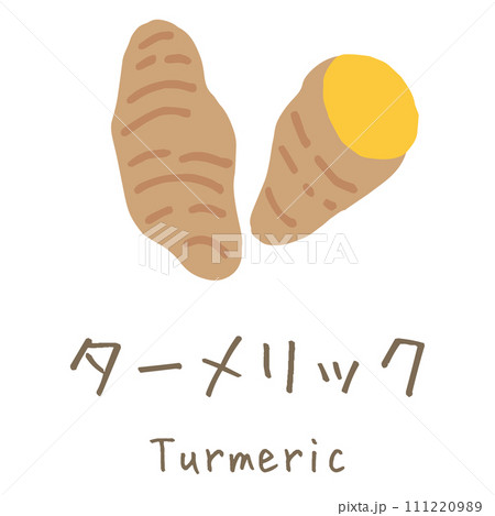 ターメリック　Turmeric　イラスト 111220989