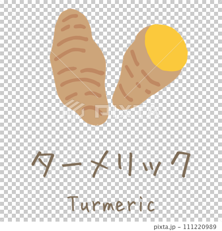 ターメリック　Turmeric　イラスト 111220989