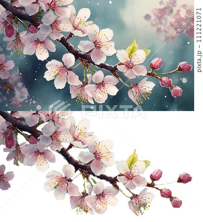桜の花・つぼみのイラスト｜AI生成画像を修正・加工 111221071