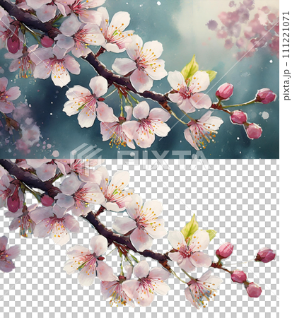 桜の花・つぼみのイラスト｜AI生成画像を修正・加工 111221071