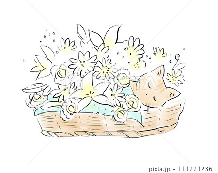 バスケットに入ったネコの葬儀のイラスト 111221236