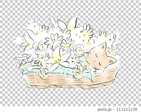 バスケットに入ったネコの葬儀のイラスト 111221236