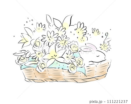 バスケットに入ったウサギの葬儀のイラスト バスケットに入ったウサギの葬儀のイラスト 111221237