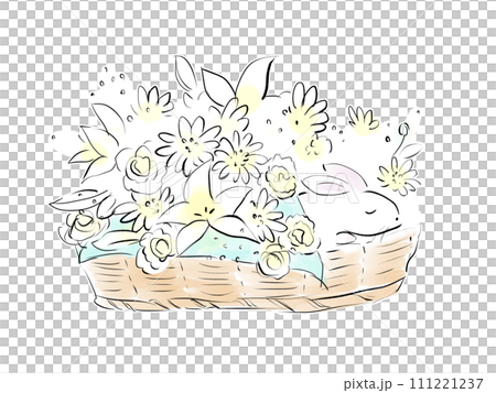 バスケットに入ったウサギの葬儀のイラスト バスケットに入ったウサギの葬儀のイラスト 111221237