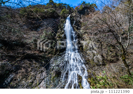 【日本の滝百選】天滝 春の風景6 兵庫県養父市 【日本の滝百選】天滝 春の風景6 兵庫県養父市 111221390