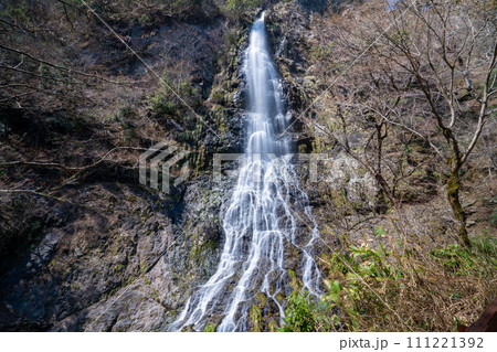 【日本の滝百選】天滝　春の風景8　兵庫県養父市 111221392