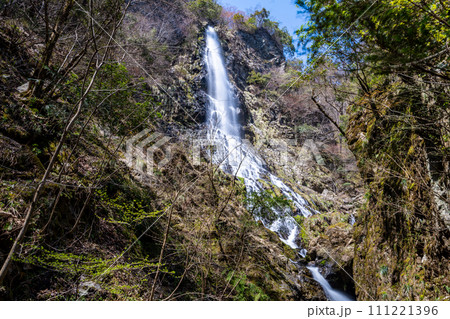 【日本の滝百選】天滝 春の風景11 兵庫県養父市 【日本の滝百選】天滝 春の風景11 兵庫県養父市 111221396
