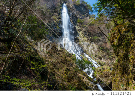 【日本の滝百選】天滝　春の風景14　兵庫県養父市 111221425