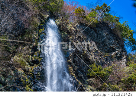 【日本の滝百選】天滝　春の風景15　兵庫県養父市 111221428