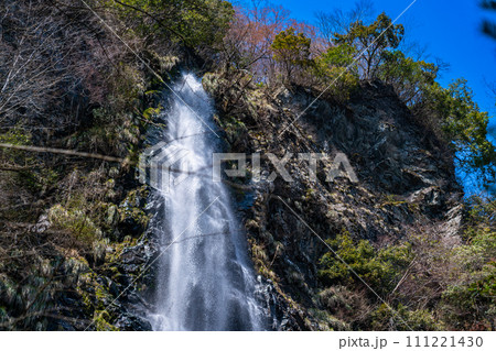 【日本の滝百選】天滝 春の風景16 兵庫県養父市 【日本の滝百選】天滝 春の風景16 兵庫県養父市 111221430