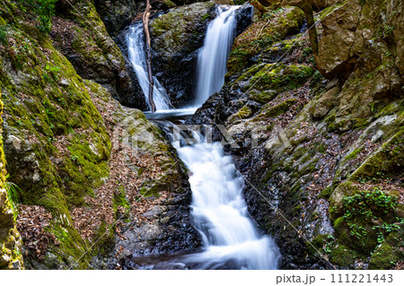 【日本の滝百選】天滝　春の夫婦滝1　兵庫県養父市 111221443
