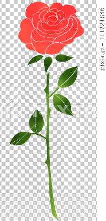 水彩風格的單朵玫瑰插圖 水彩風格的單朵玫瑰插圖 111221836