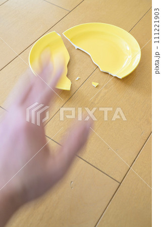 割れた皿 111221903