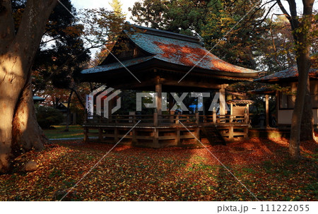 神社の舞殿夕日木漏れ日 111222055