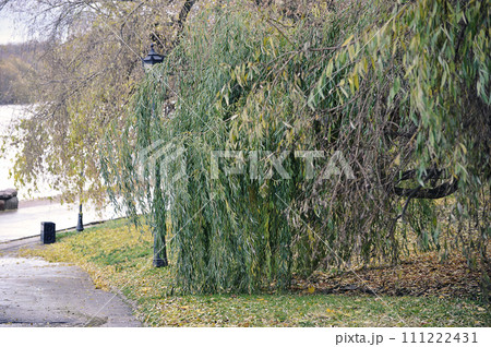 autumn view of Kolomenskoye Park autumn view of Kolomenskoye Park 111222431