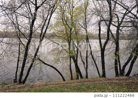autumn view of the Moscow river 111222466