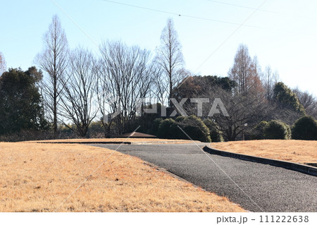 さいたま市西区の大宮花の丘公苑の風景 さいたま市西区の大宮花の丘公苑の風景 111222638