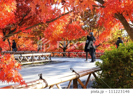 紅葉のある風景 紅葉のある風景 111223146