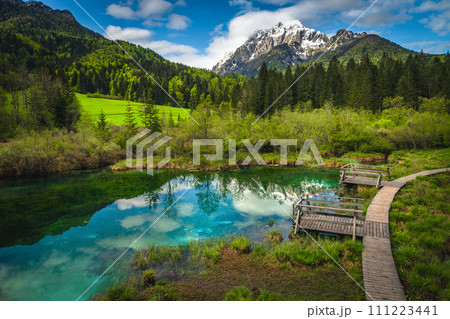 Wooden pathway near lake Zelenci, Kranjska Gora, Slovenia 111223441