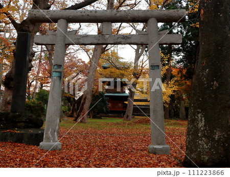 神社境内鳥居と三重塔 神社境内鳥居と三重塔 111223866