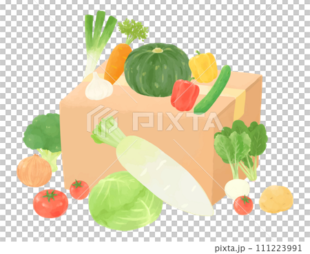 Hand-drawn style illustration of various vegetables and cardboard boxes 111223991